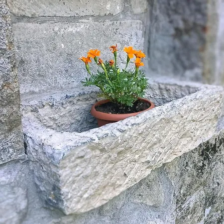 Alojamento de Acomodação e Pequeno-almoço Il Ghiro 3*