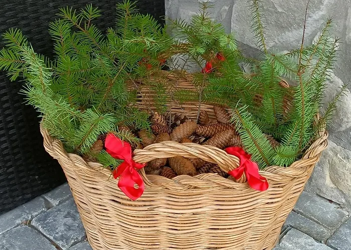 Bed and breakfast Il Ghiro