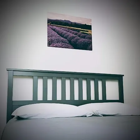 Oda ve Kahvaltı Il Ghiro Riolunato