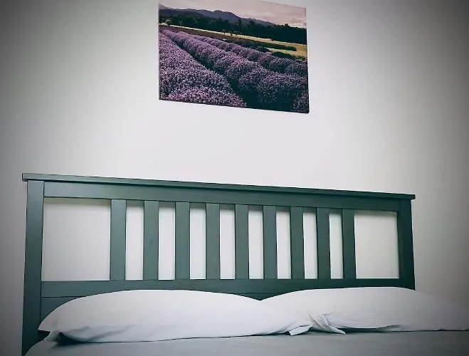 Bed and Breakfast Il Ghiro Riolunato