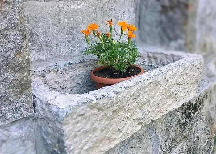 Bed and Breakfast Il Ghiro 3*